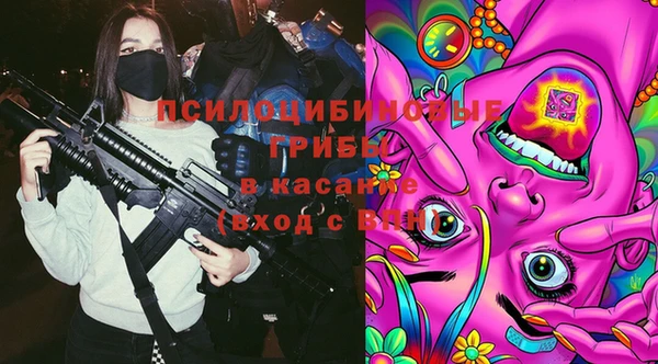 спиды Заволжье