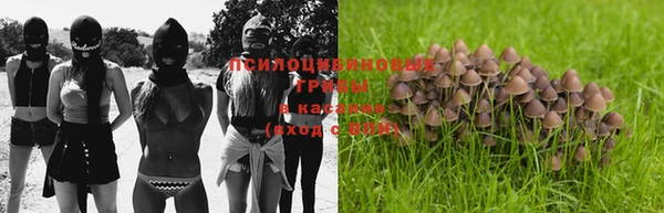 ALPHA-PVP Заводоуковск