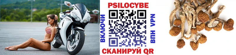 Купить  Павлово  Псилоцибиновые грибы прущие грибы 